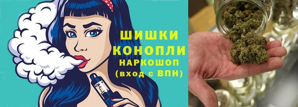 сатива Баксан
