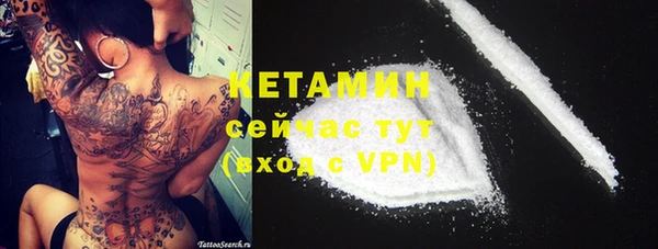 сатива Баксан