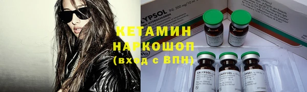 сатива Баксан