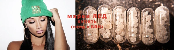 сатива Баксан