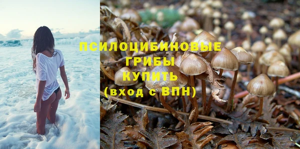 сатива Баксан